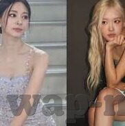 91视频 麻豆-数字化内容消费的辩证，解析视频平台内容的选择与影响