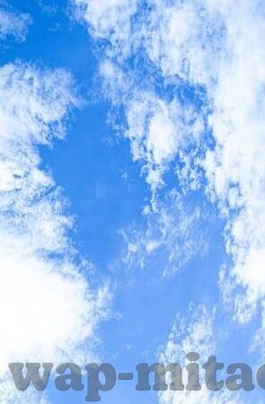 上床视频麻豆-互联世界的迷思，上床视频与麻豆的背后