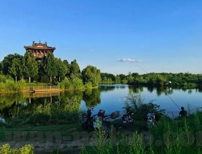 手机不卡一区二区三区在线-探索手机性能与使用体验的奥秘，一区、二区、三区在线的流畅之旅