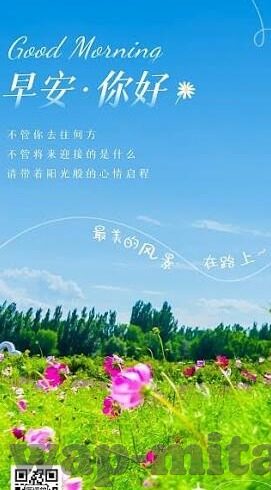 糖心app视频下载安装-独家揭秘，解锁移动观看新体验 —— 糖心APP奇妙之旅